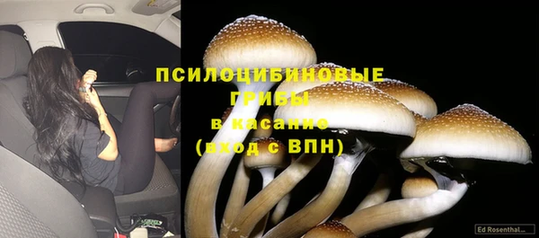 прущая мука Алексеевка