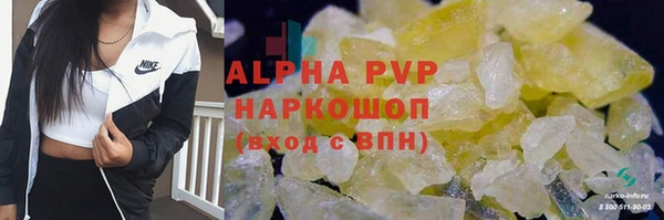 СК Алзамай
