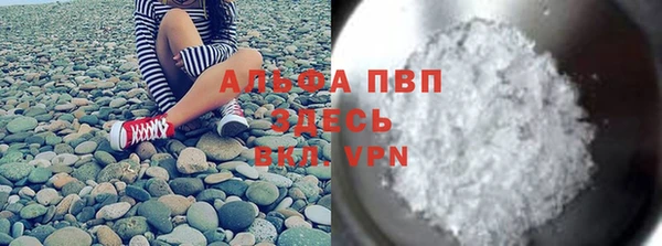 Альфа ПВП Магадан