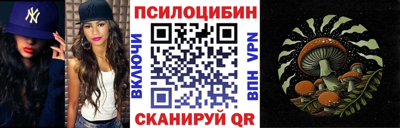 Галлюциногенные грибы Magic Shrooms  купить   Адыгейск 